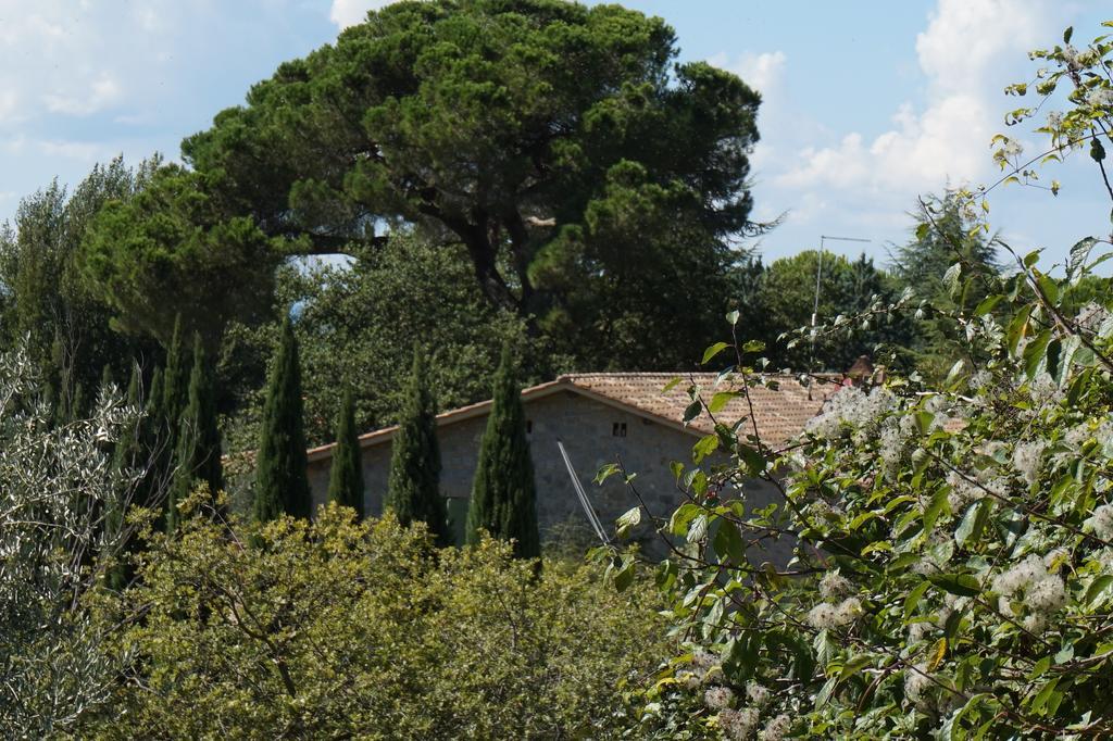 Casa Lucia In Chianti Bed and Breakfast Vagliagli Eksteriør billede