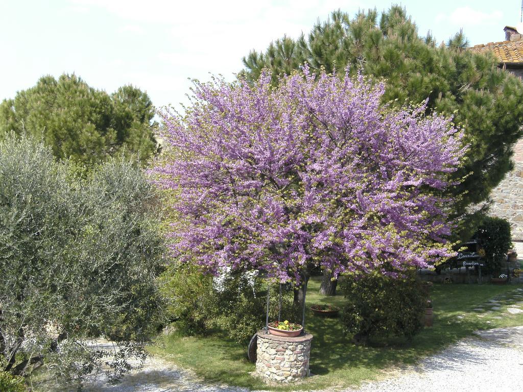 Casa Lucia In Chianti Bed and Breakfast Vagliagli Eksteriør billede